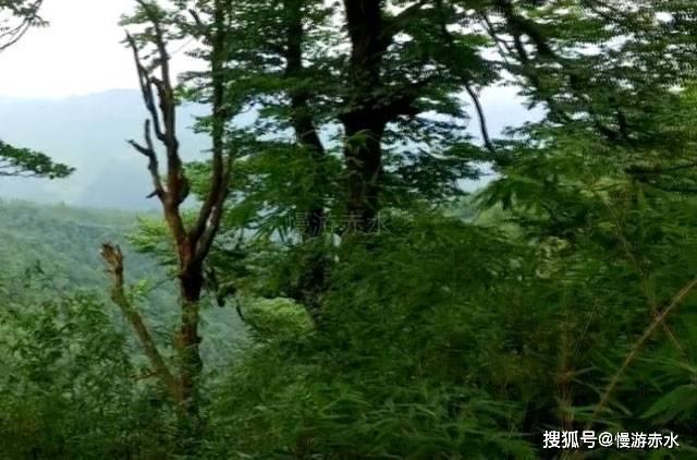 特别关注:直击雨雪春运路,梳理路网交通出行焦点