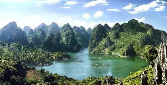 动物帮帮忙保卫家园
