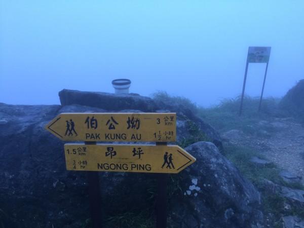 警方捣毁假酒黑色产业链，制作假酒团伙中四名成员分工明确