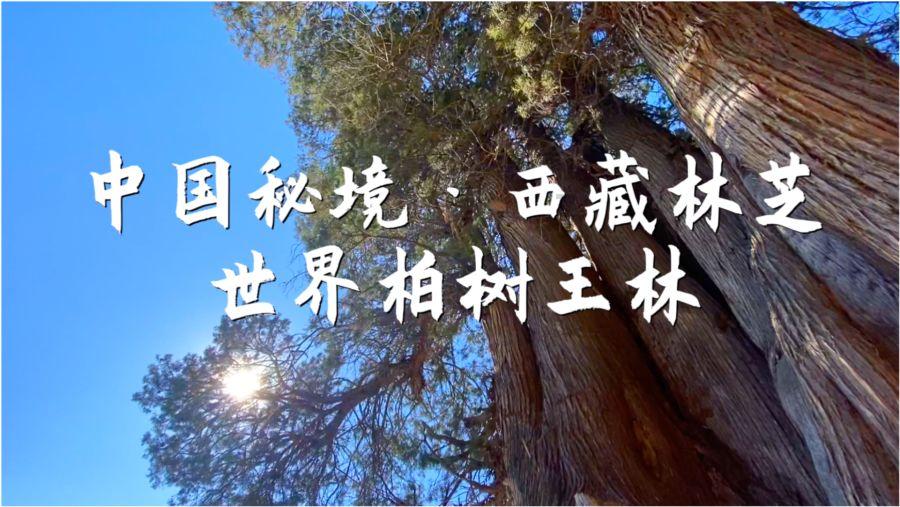 吓人的屋子找物品