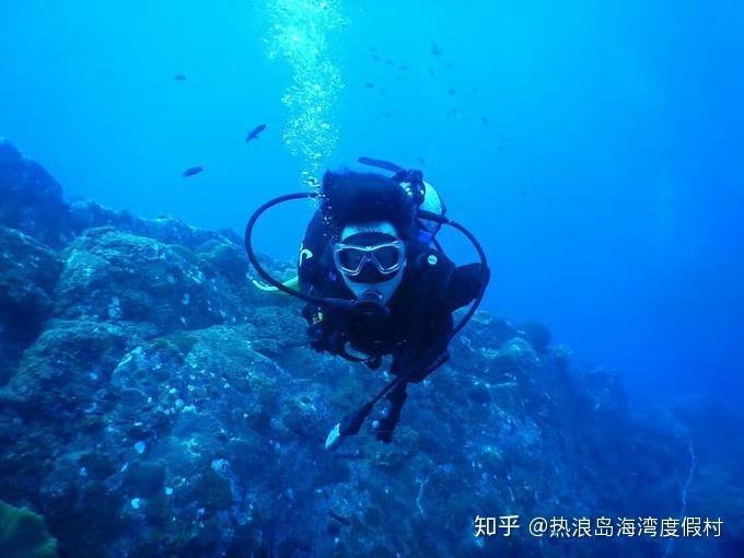 台青陈泯仰五年“登陆”记:从就业创业到成家立业
