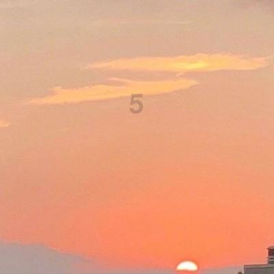 今潮8弄龙年春节灯会亮灯
