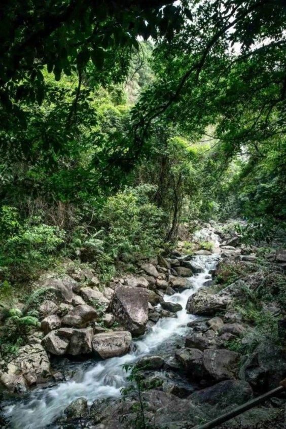 蜂巢能源150亿上市路终止：毛利率远不及同行，产能利用率堪忧
