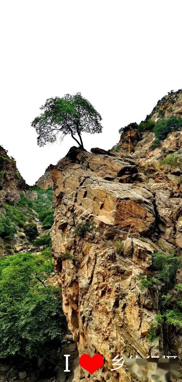 首届温岭东海年货节以“溯源”打开“新消费潮”!