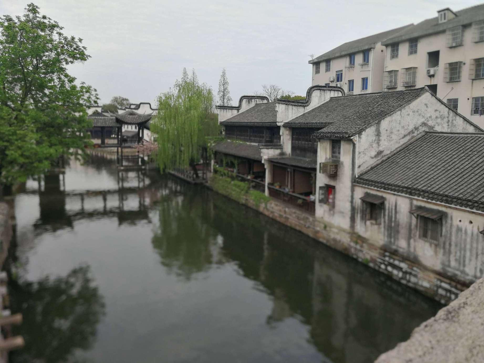 城中区 开展2024年地震综合实战应急演练