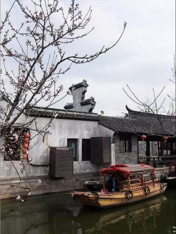 探索知识星球平台 - 进入为什么我那么讨厌吃香菜星球,解锁无限智慧!
